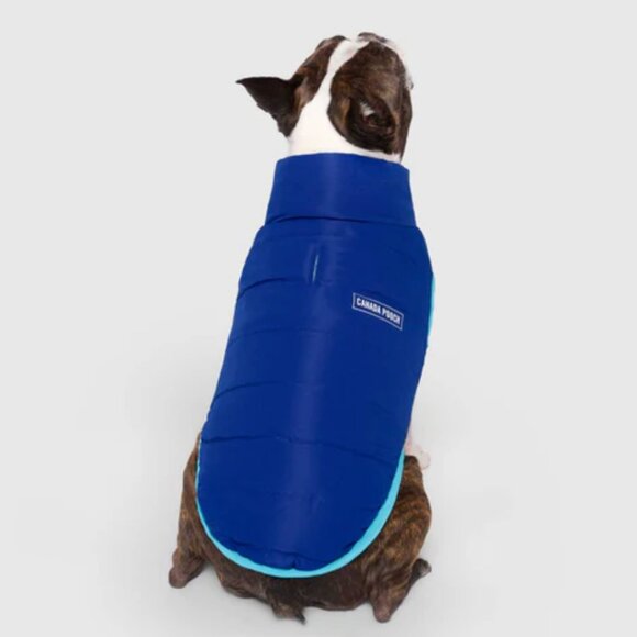 Canada Pooch Reversible Puffer Vest Blue/Teal - Picture 1 of 5